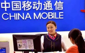 10086个人总结8篇