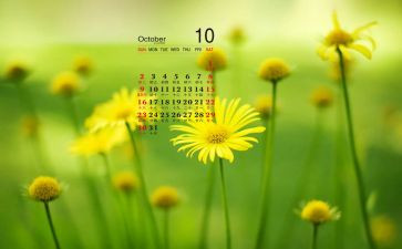 学生会10月份工作总结7篇
