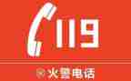 119小学生作文优秀6篇