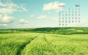 12月销售工作计划8篇