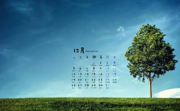 12月份月工作计划7篇