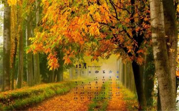 学生会12月份工作总结6篇