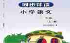 1年级科学下册教学计划8篇
