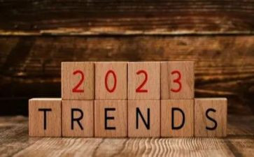 2023年度工作计划总结精选5篇