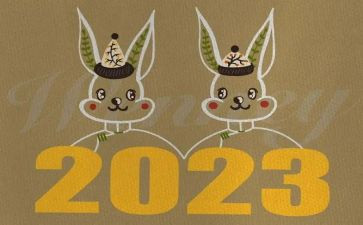 2023护士入党转正申请书精选8篇