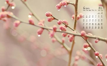 4月讲话稿优秀5篇