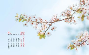 幼儿园小班教师4月份工作总结7篇