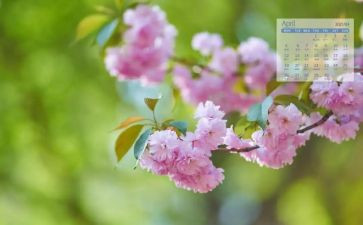 4月份工作总结范文5篇