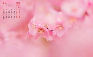 幼儿园小班教师4月份工作总结5篇
