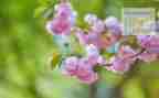 4月份工作总结范文5篇