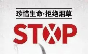 531研修总结最新6篇