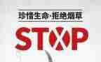 531研修总结最新6篇