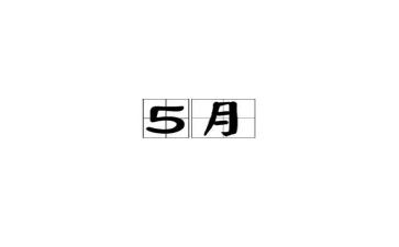 5月活动总结6篇
