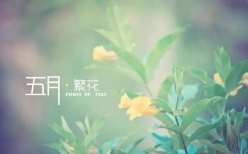 幼儿园托小班5月工作总结5篇