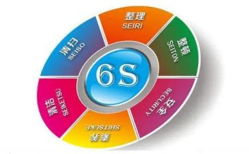 6s工作总结5篇
