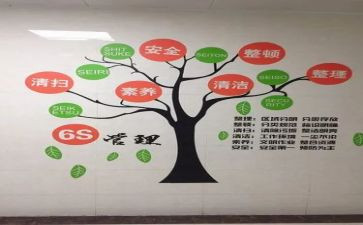 6s工作总结精选6篇