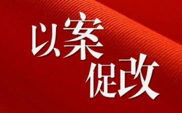 已案促改心得体会5篇