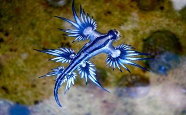 生物细胞教学反思8篇