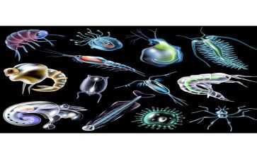初二下学期生物工作总结5篇