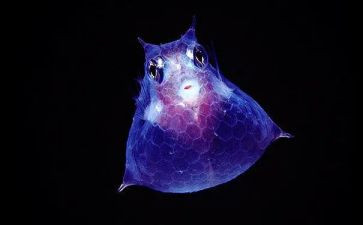 生物教师教学总结通用8篇