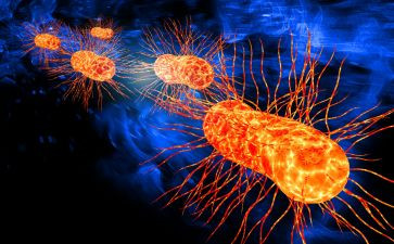 2023初二生物教学计划优秀5篇