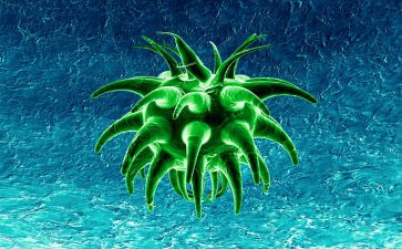 七上生物实验心得体会通用7篇