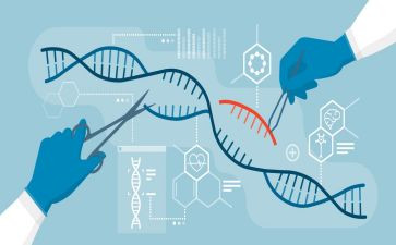 生物角教案优质8篇