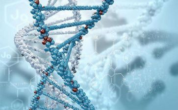 选修一生物教学计划6篇