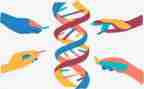 2023生物下教学计划精选8篇