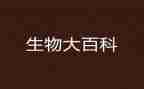 七上生物备课组工作计划8篇