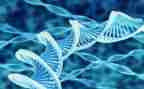 高中生物教研计划7篇