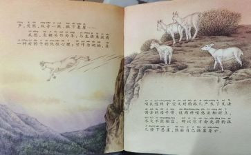 斑羚飞渡读书心得优秀8篇