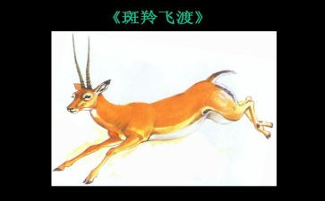 斑羚飞渡读书心得7篇