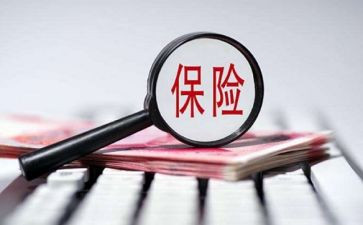 保险员年终总结优秀5篇