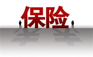 2023保险个人总结模板6篇