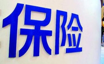 保险公司个人总结总结总结通用5篇