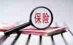 保险员年终总结优秀5篇