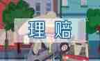 保险公司个人总结总结总结优质6篇
