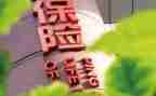保险年终总结个人总结优秀8篇
