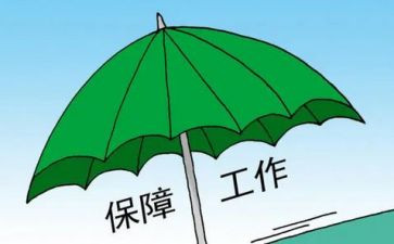双保障工作总结优秀8篇