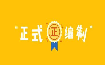 编制个人总结5篇