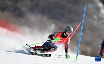 作文比赛模板7篇