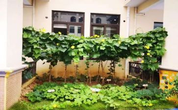 学做菜的作文400字6篇