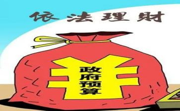 2024年财政所工作总结模板6篇