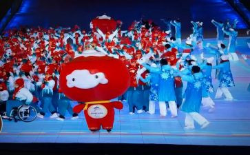 2024残奥会观后感通用8篇