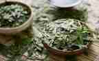 个人茶年度总结7篇