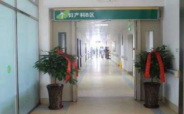 写产科护士的演讲稿优质8篇