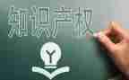 产权演讲稿8篇