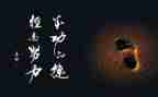 成功的体验作文优质7篇