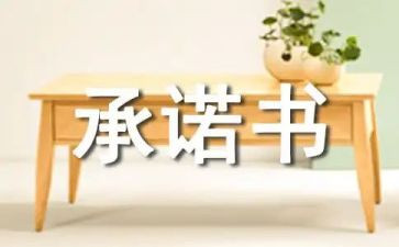 教师公开承诺书6篇